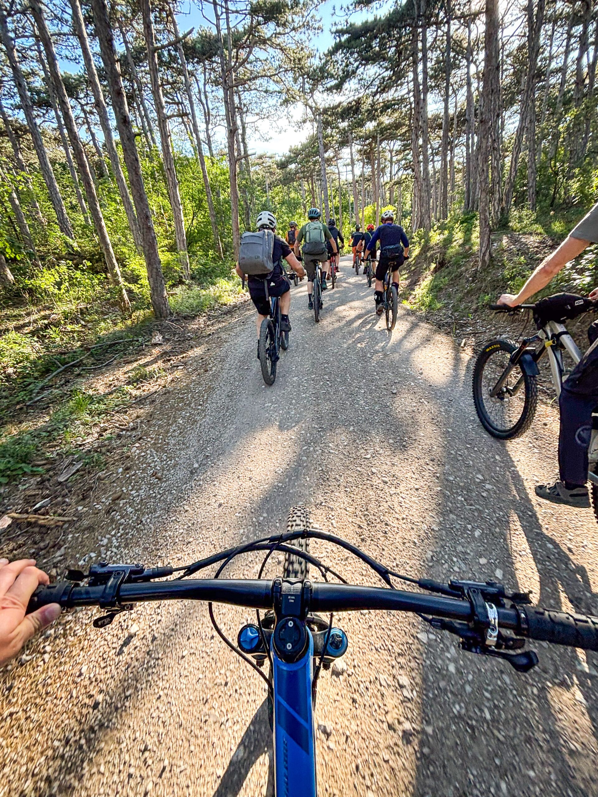 Eine Gruppe Mountainbiker:innen auf einer Forststraße.