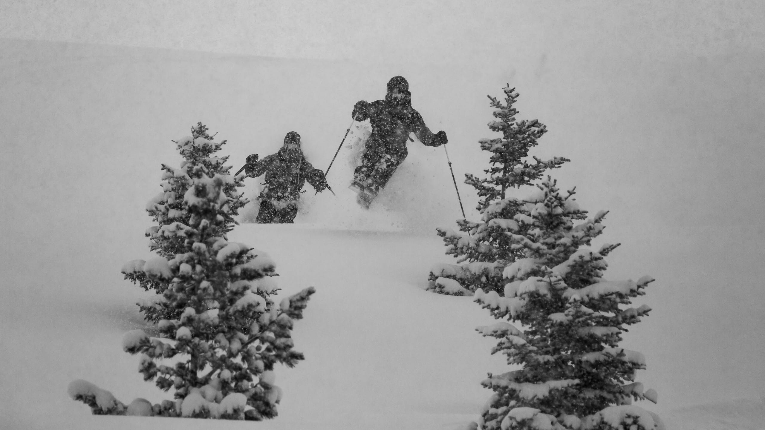 Eine Gruppe Freerider bahnt sich ihren Weg durch den Powder.