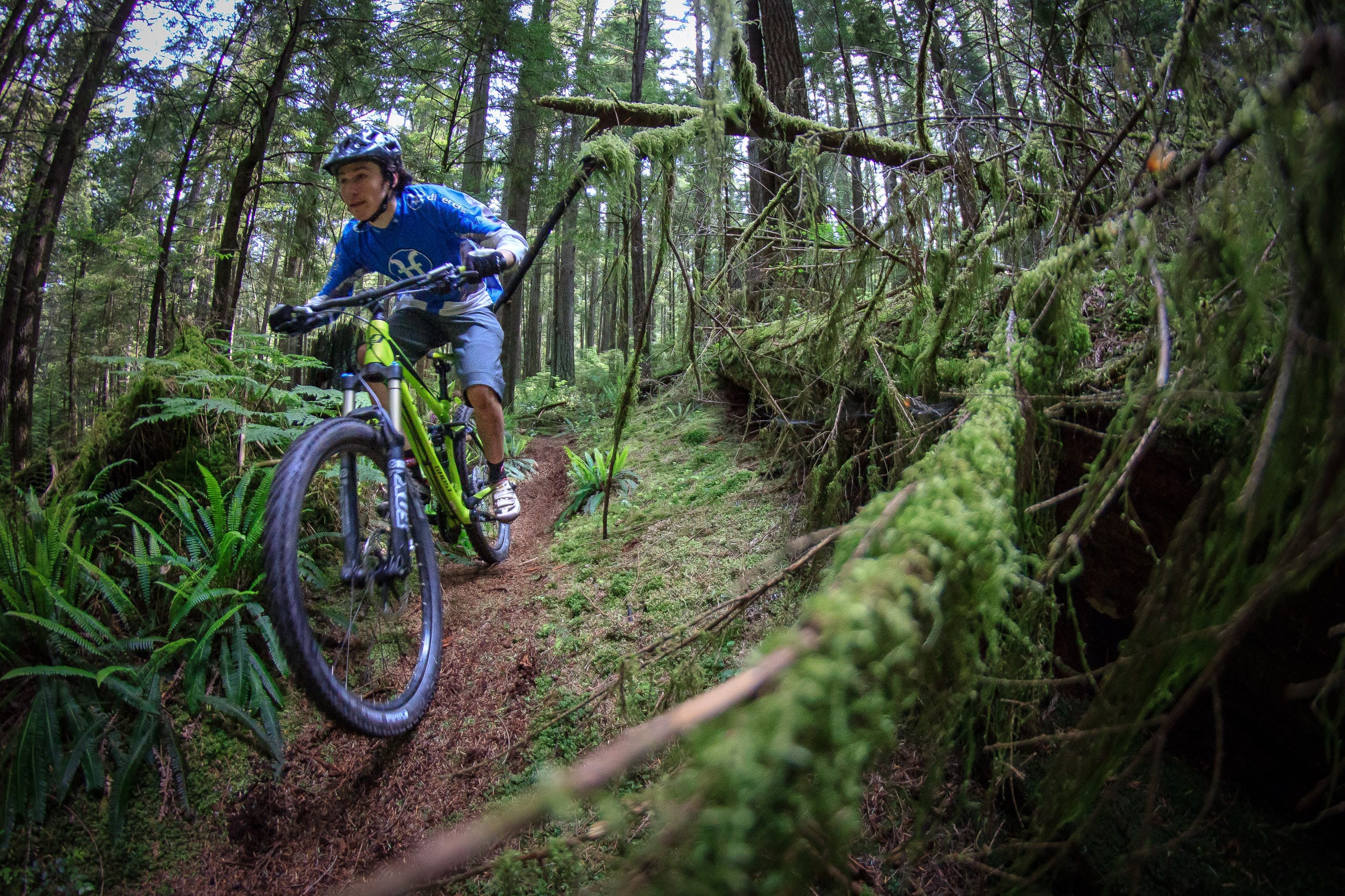 Ein Mountainbiker auf einem Trail.