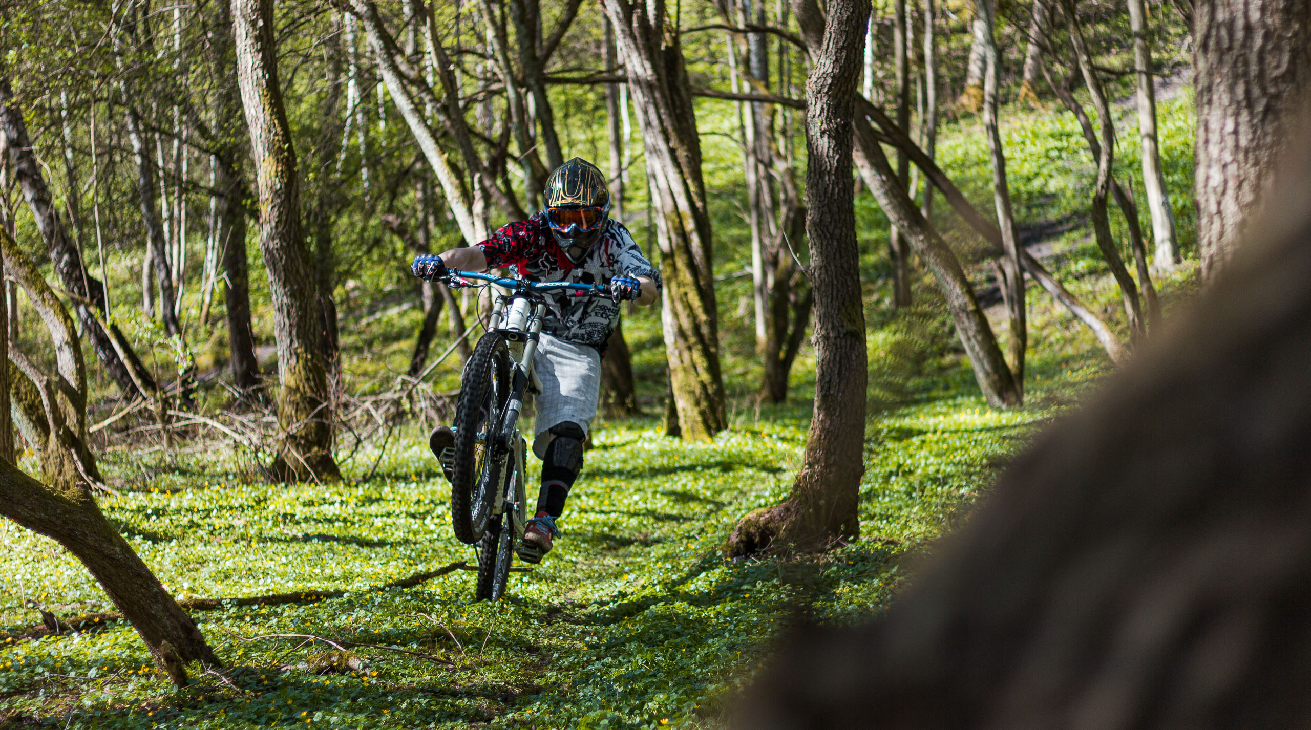 Ein Mountainbiker auf einem Trail.