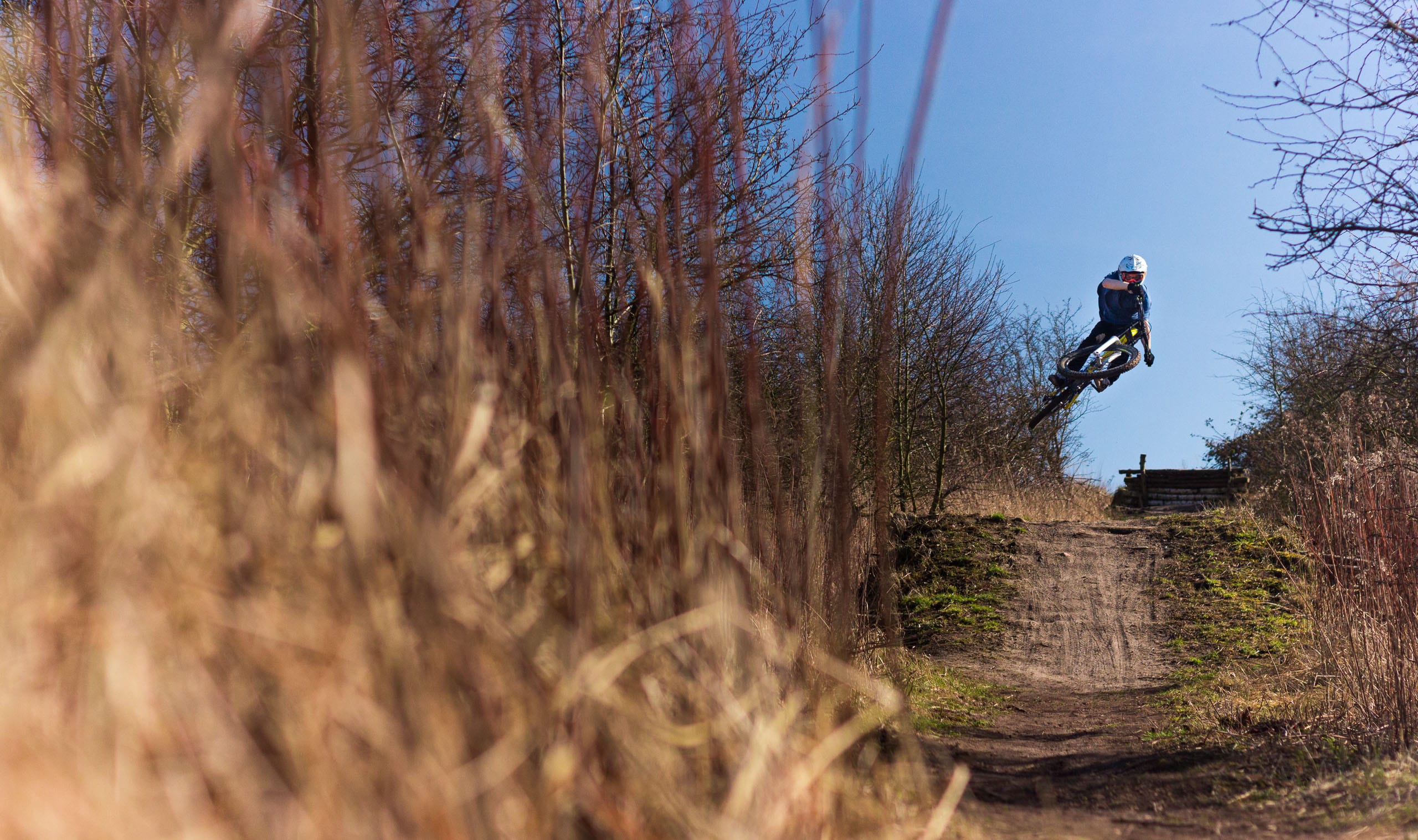 Ein Mountainbiker auf einem Trail.