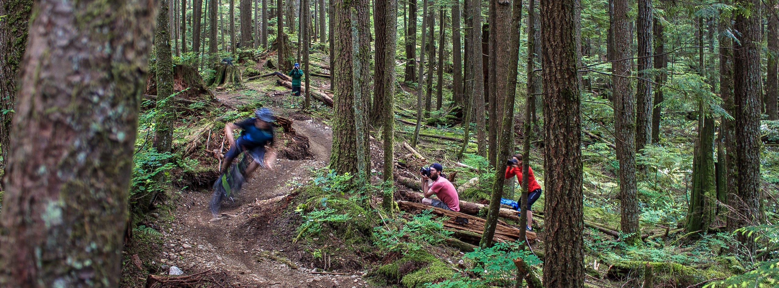 Ein Mountainbiker auf einem Trail.