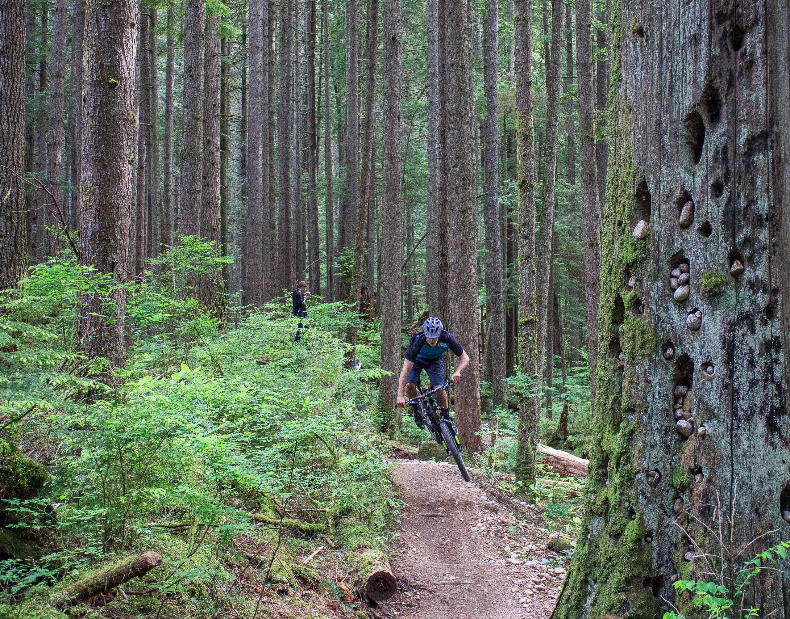 Ein Mountainbiker auf einem Trail.