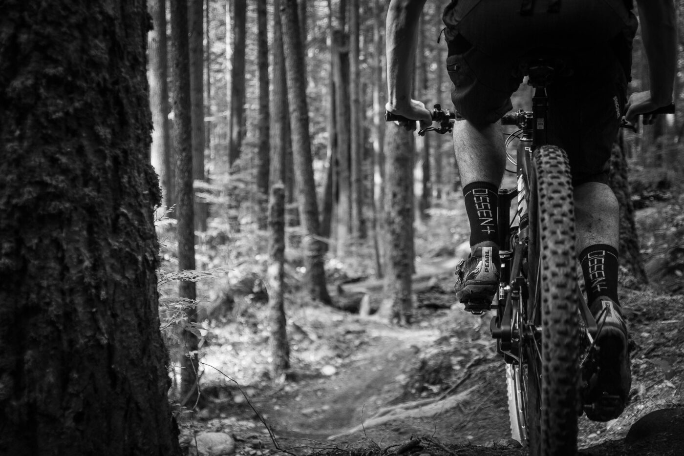 Ein Mountainbiker auf einem Trail.