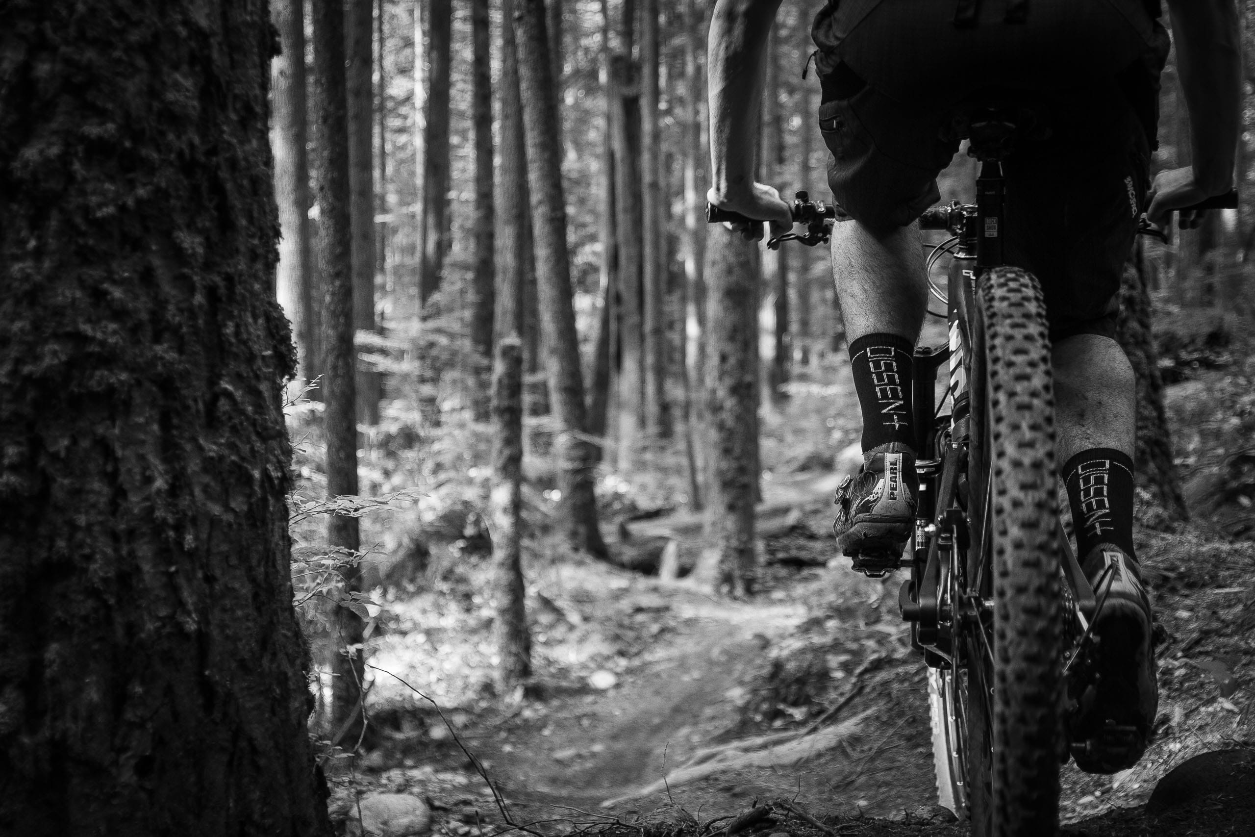 Ein Mountainbiker auf einem Trail.