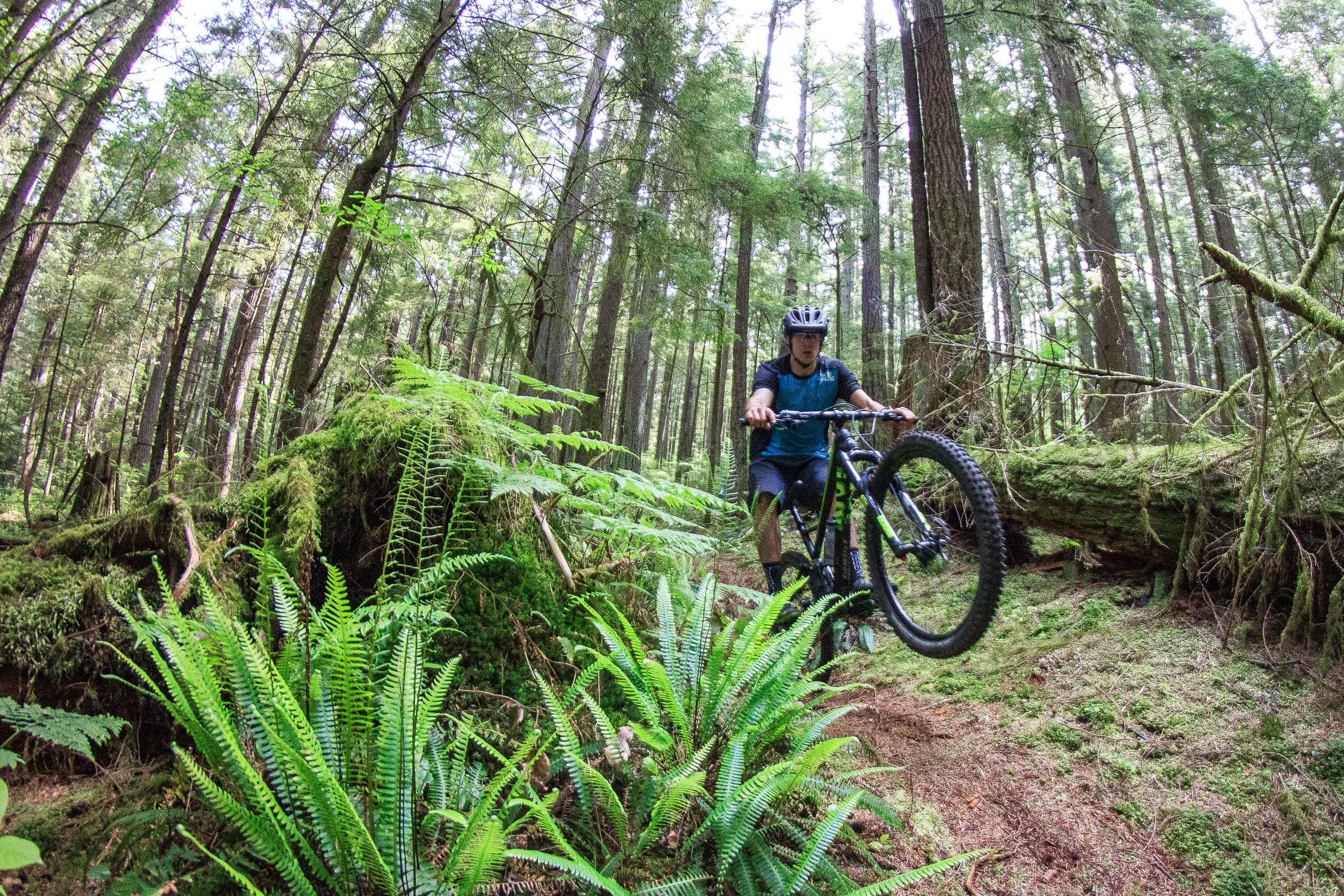 Ein Mountainbiker auf einem Trail.